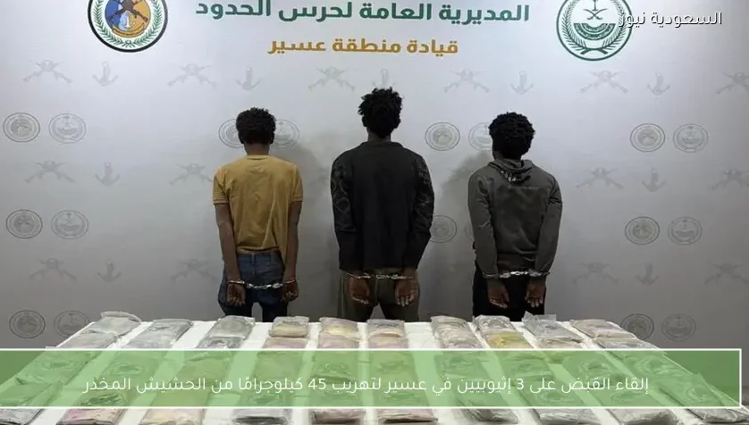 إلقاء القبض على 3 إثيوبيين في عسير لتهريب 45 كيلوجرامًا من الحشيش المخدر