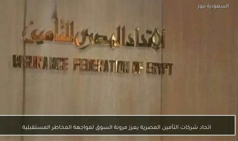 اتحاد شركات التأمين المصرية يعزز مرونة السوق لمواجهة المخاطر المستقبلية