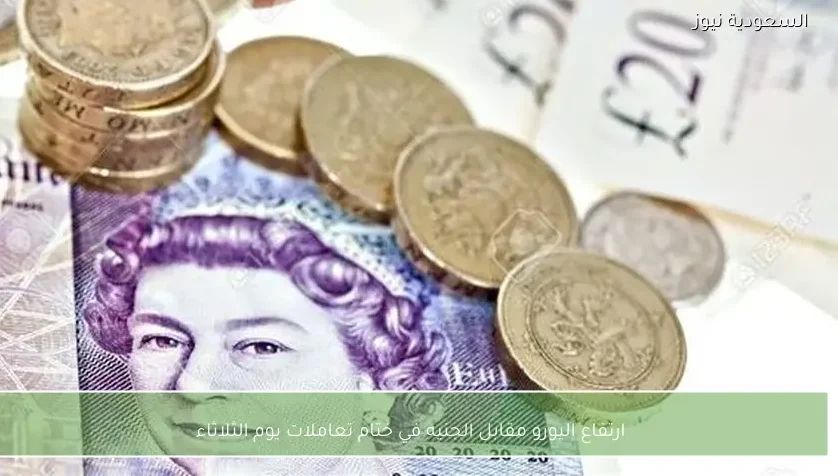ارتفاع اليورو مقابل الجنيه في ختام تعاملات يوم الثلاثاء