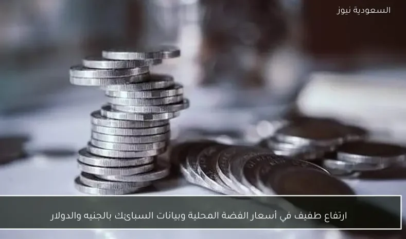 ارتفاع طفيف في أسعار الفضة المحلية وبيانات السبائك بالجنيه والدولار
