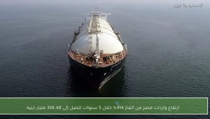 ارتفاع واردات مصر من الغاز 314% خلال 5 سنوات لتصل إلى 356.48 مليار جنيه