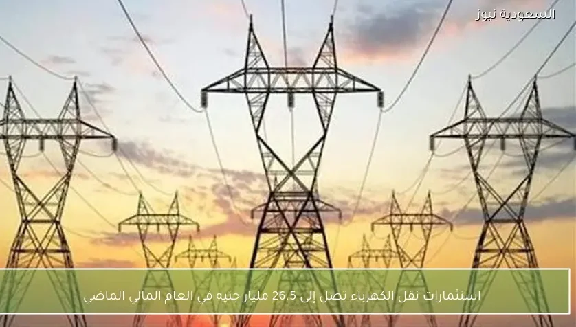 استثمارات نقل الكهرباء تصل إلى 26.5 مليار جنيه في العام المالي الماضي