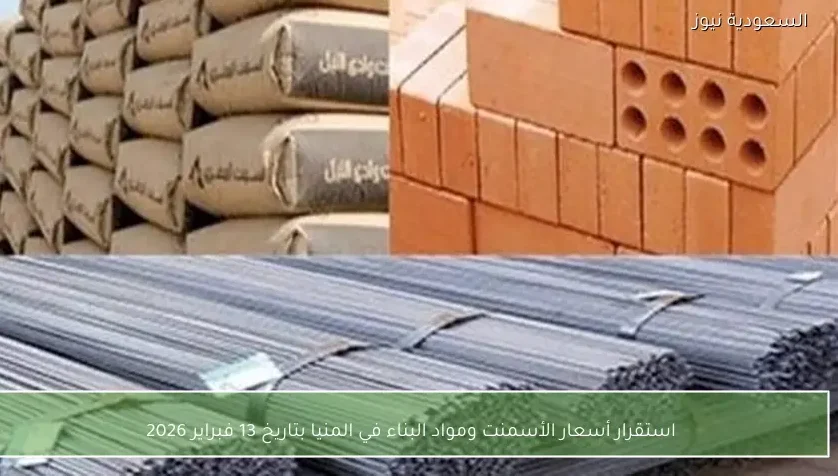 استقرار أسعار الأسمنت ومواد البناء في المنيا بتاريخ 13 فبراير 2026