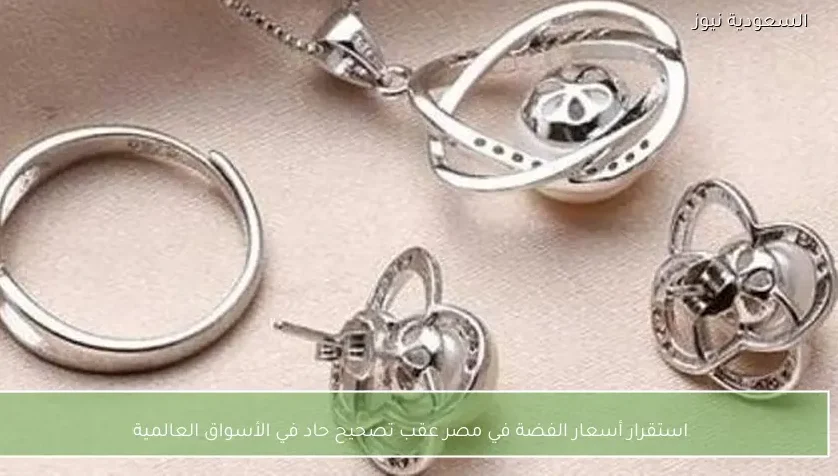 استقرار أسعار الفضة في مصر عقب تصحيح حاد في الأسواق العالمية