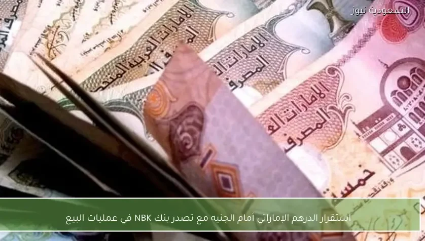 استقرار الدرهم الإماراتي أمام الجنيه مع تصدر بنك NBK في عمليات البيع