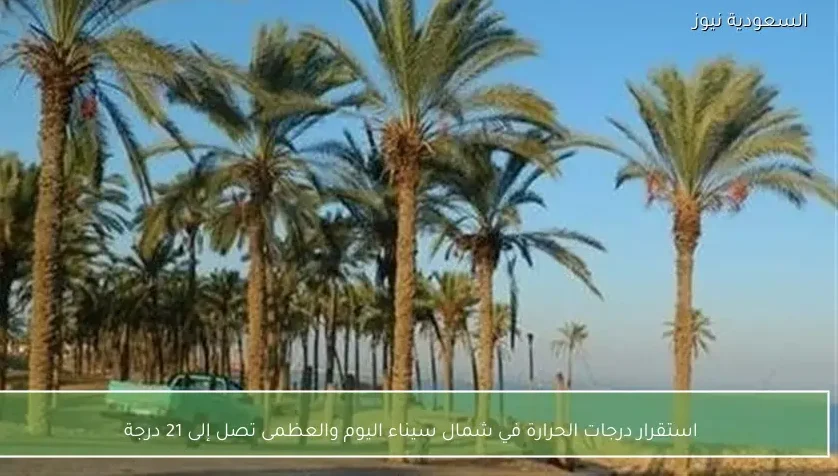 استقرار درجات الحرارة في شمال سيناء اليوم والعظمى تصل إلى 21 درجة