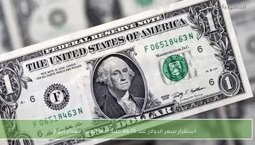 استقرار سعر الدولار عند 46.75 جنيه أمام الجنيه مساء اليوم