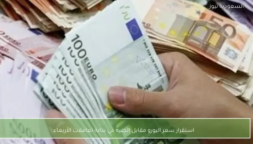استقرار سعر اليورو مقابل الجنيه في بداية تعاملات الأربعاء