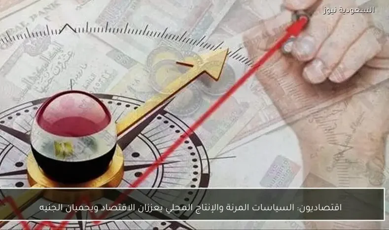 اقتصاديون: السياسات المرنة والإنتاج المحلي يعززان الاقتصاد ويحميان الجنيه