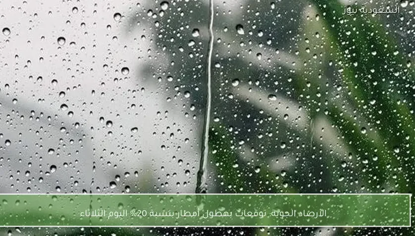 الأرصاد الجوية: توقعات بهطول أمطار بنسبة 20% اليوم الثلاثاء
