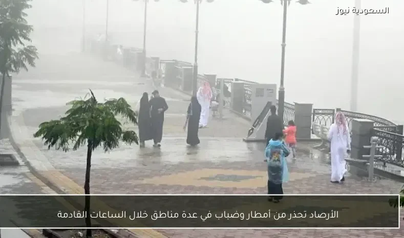 الأرصاد تحذر من أمطار وضباب في عدة مناطق خلال الساعات القادمة