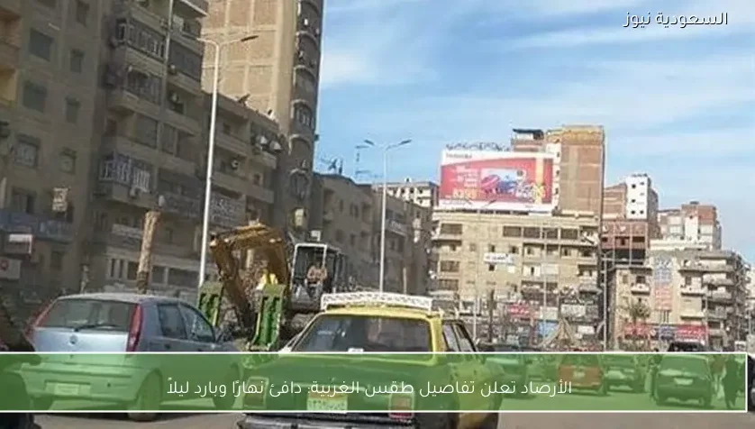 الأرصاد تعلن تفاصيل طقس الغربية: دافئ نهارًا وبارد ليلاً