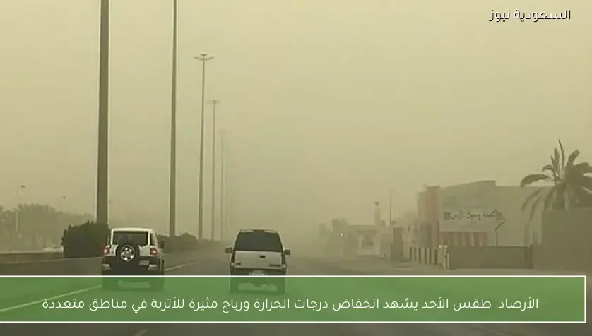 الأرصاد: طقس الأحد يشهد انخفاض درجات الحرارة ورياح مثيرة للأتربة في مناطق متعددة