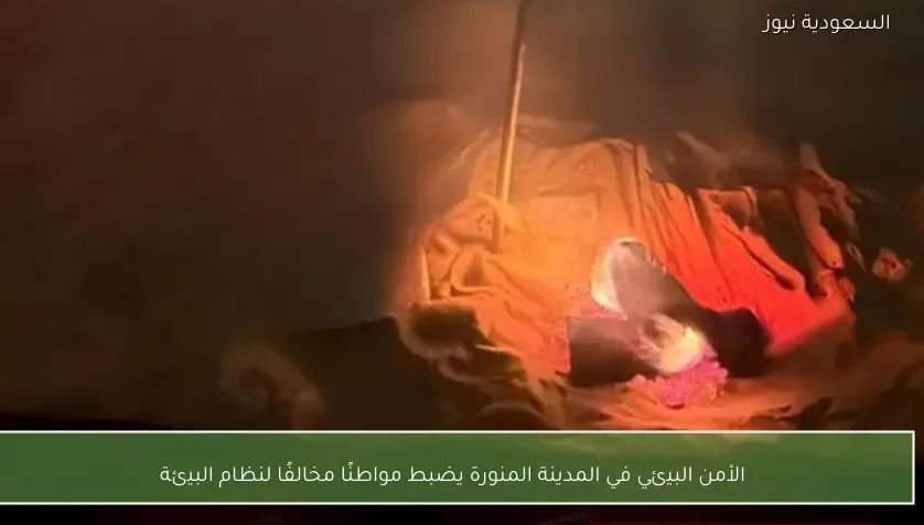 الأمن البيئي في المدينة المنورة يضبط مواطنًا مخالفًا لنظام البيئة