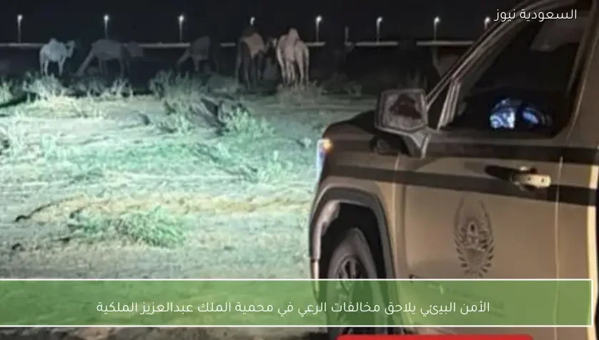 الأمن البيئي يلاحق مخالفات الرعي في محمية الملك عبدالعزيز الملكية