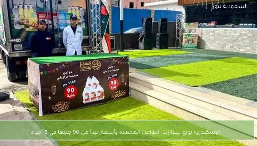 الإسكندرية توزع سيارات الدواجن المجمدة بأسعار تبدأ من 90 جنيها في 8 أحياء