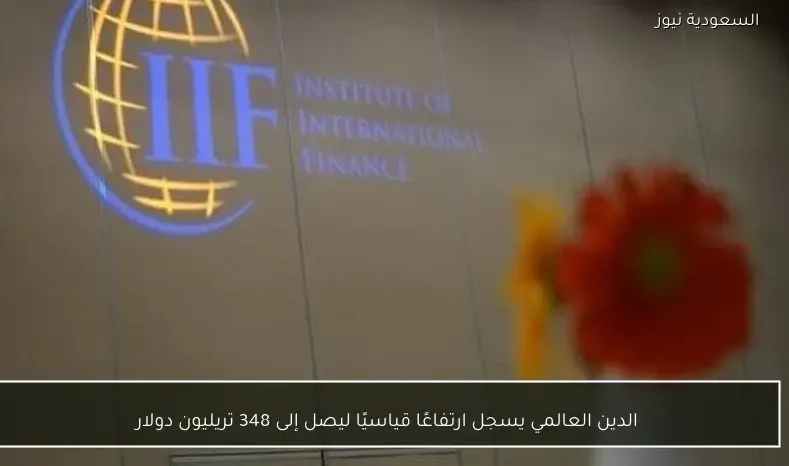 الدين العالمي يسجل ارتفاعًا قياسيًا ليصل إلى 348 تريليون دولار