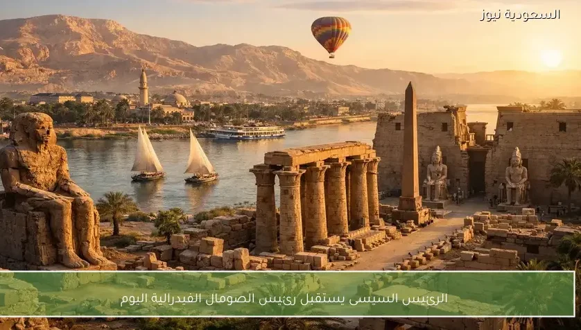 الرئيس السيسى يستقبل رئيس الصومال الفيدرالية اليوم