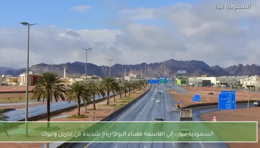 السعودية نيوز : 
                إلى التاسعة مساء اليوم: رياح شديدة في حائل وتبوك