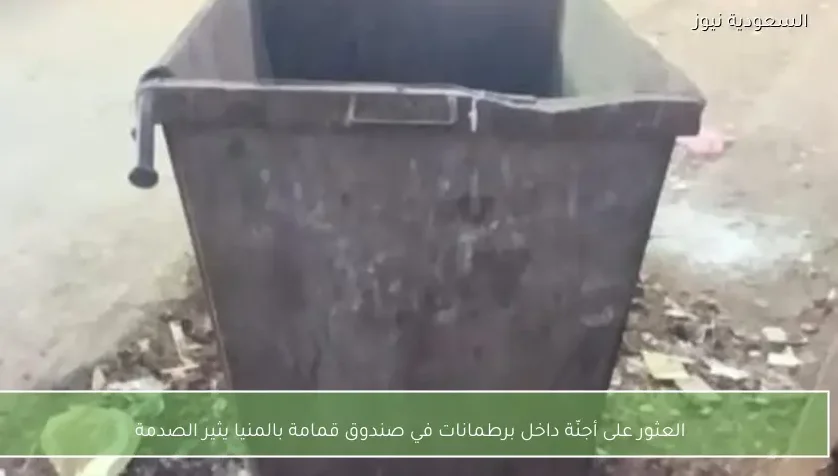 العثور على أجنّة داخل برطمانات في صندوق قمامة بالمنيا يثير الصدمة