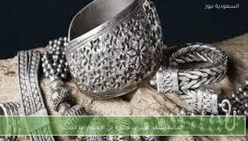 الفضة تشهد تغييرات هادئة في الأسعار: ما الجديد؟