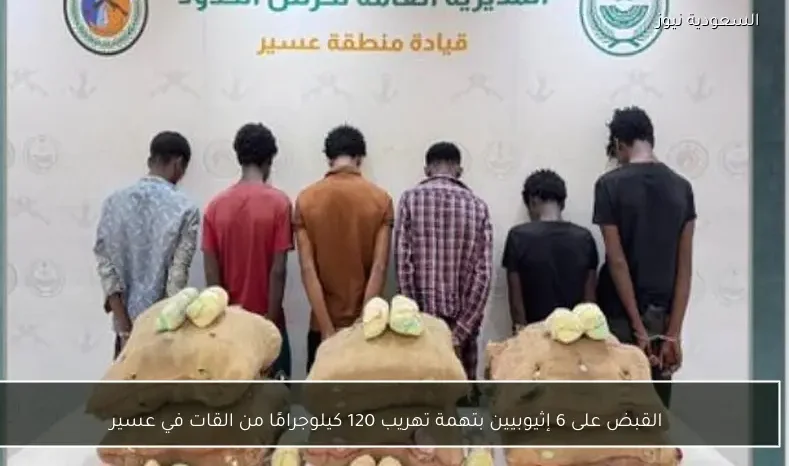القبض على 6 إثيوبيين بتهمة تهريب 120 كيلوجرامًا من القات في عسير