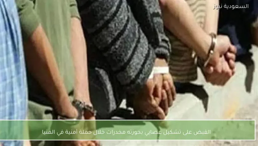 القبض على تشكيل عصابي بحوزته مخدرات خلال حملة أمنية في المنيا