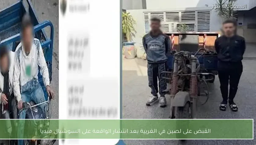 القبض على لصين في الغربية بعد انتشار الواقعة على السوشيال ميديا