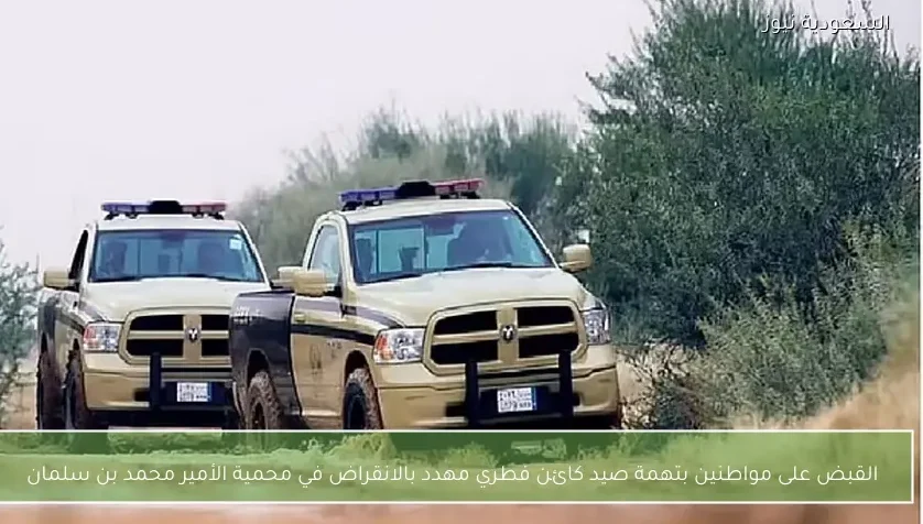 القبض على مواطنين بتهمة صيد كائن فطري مهدد بالانقراض في محمية الأمير محمد بن سلمان