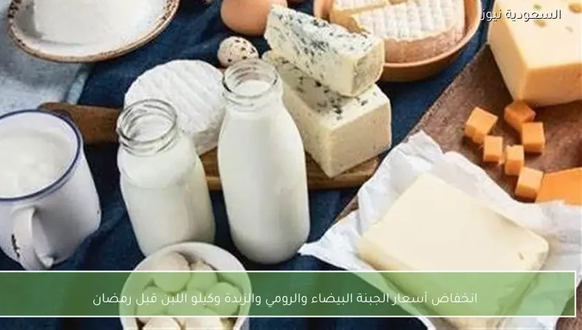 انخفاض أسعار الجبنة البيضاء والرومي والزبدة وكيلو اللبن قبل رمضان