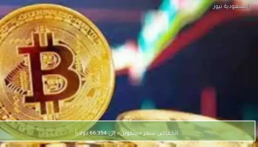 انخفاض سعر «بيتكوين» إلى 66,354 دولاراً