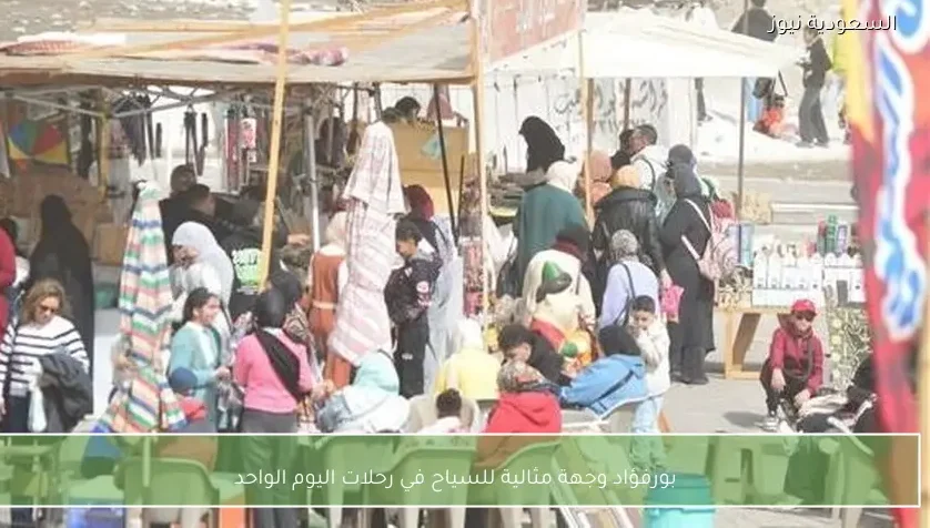 بورفؤاد وجهة مثالية للسياح في رحلات اليوم الواحد