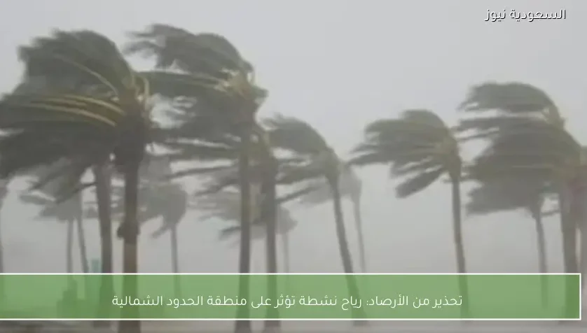 تحذير من الأرصاد: رياح نشطة تؤثر على منطقة الحدود الشمالية