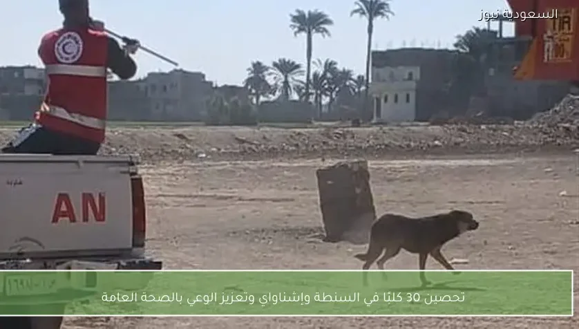 تحصين 30 كلبًا في السنطة وإشناواي وتعزيز الوعي بالصحة العامة