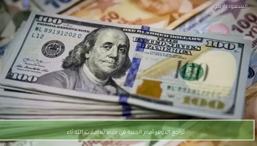 تراجع الدولار أمام الجنيه في ختام تعاملات الثلاثاء