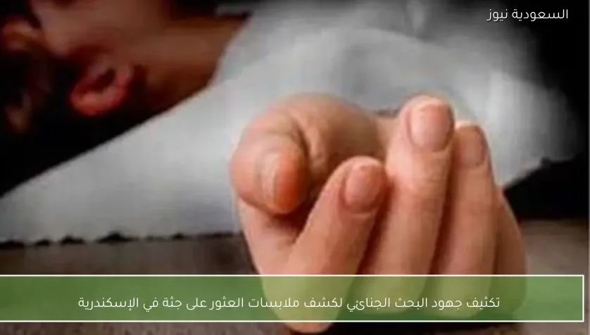 تكثيف جهود البحث الجنائي لكشف ملابسات العثور على جثة في الإسكندرية