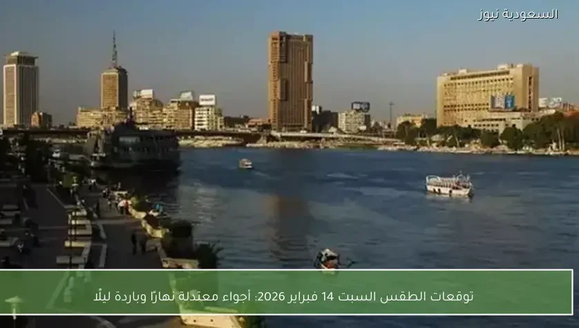 توقعات الطقس السبت 14 فبراير 2026: أجواء معتدلة نهارًا وباردة ليلًا