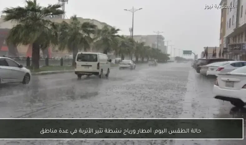 حالة الطقس اليوم: أمطار ورياح نشطة تثير الأتربة في عدة مناطق