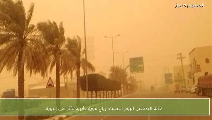 حالة الطقس اليوم السبت: رياح قوية وأتربة تؤثر على الرؤية