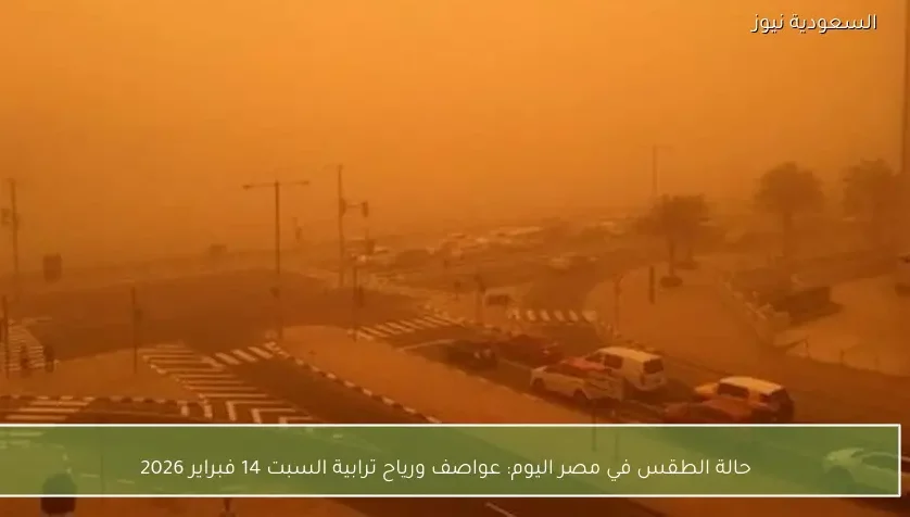 حالة الطقس في مصر اليوم: عواصف ورياح ترابية السبت 14 فبراير 2026