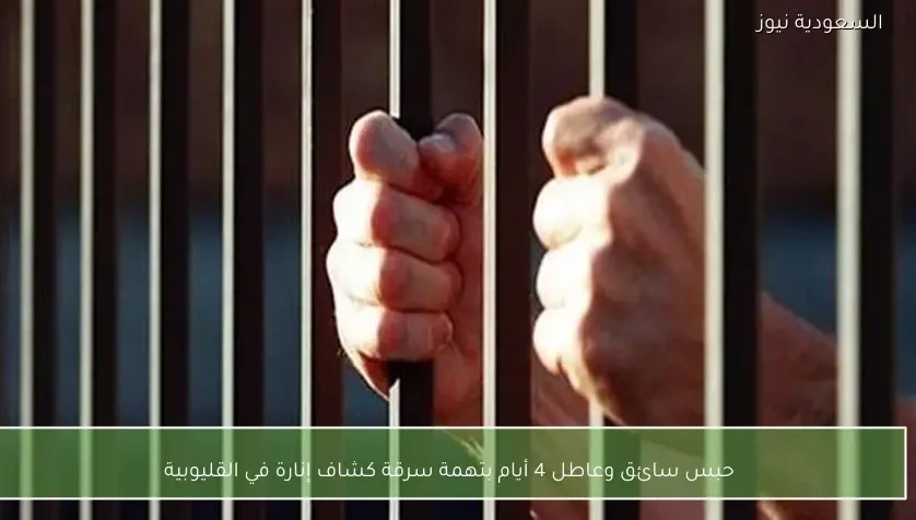 حبس سائق وعاطل 4 أيام بتهمة سرقة كشاف إنارة في القليوبية