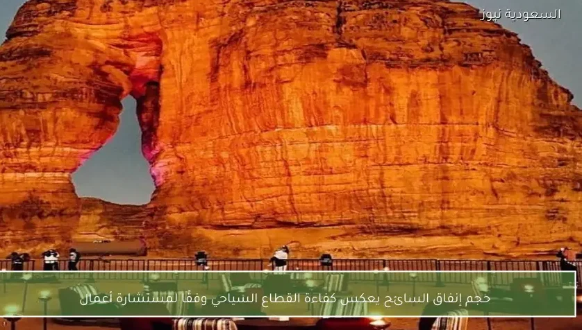 حجم إنفاق السائح يعكس كفاءة القطاع السياحي وفقًا لمستشارة أعمال