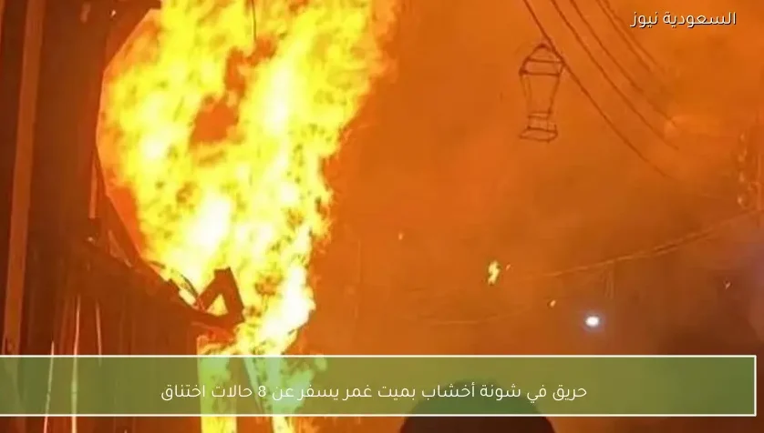 حريق في شونة أخشاب بميت غمر يسفر عن 8 حالات اختناق