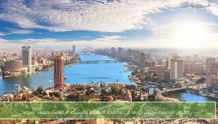 خفض الفائدة: تحليل دورها في مكافحة التضخم وتنشيط الاقتصاد حسب خبراء