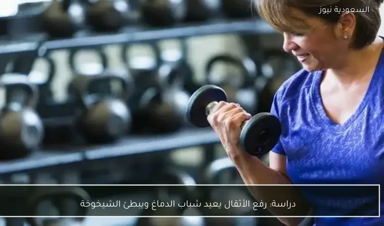 دراسة: رفع الأثقال يعيد شباب الدماغ ويبطئ الشيخوخة