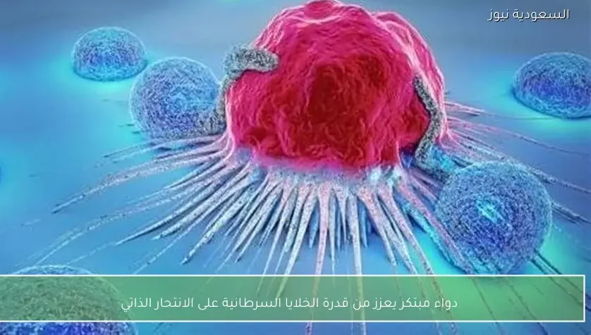دواء مبتكر يعزز من قدرة الخلايا السرطانية على الانتحار الذاتي