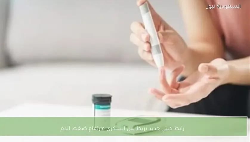 رابط جيني جديد يربط بين السكري وارتفاع ضغط الدم