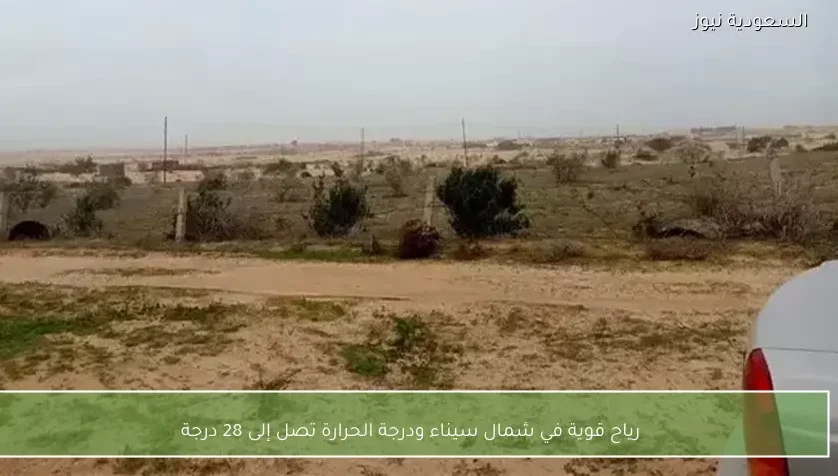 رياح قوية في شمال سيناء ودرجة الحرارة تصل إلى 28 درجة