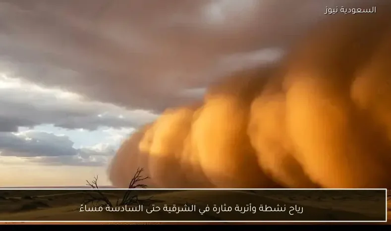 رياح نشطة وأتربة مثارة في الشرقية حتى السادسة مساءً