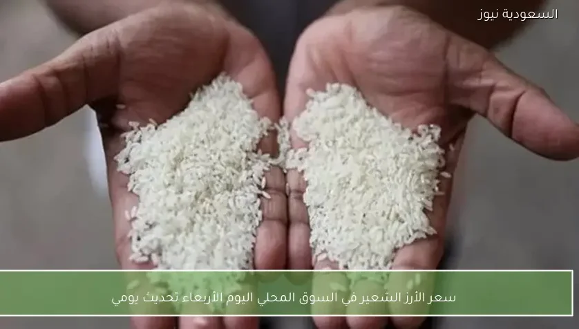 سعر الأرز الشعير في السوق المحلي اليوم الأربعاء تحديث يومي